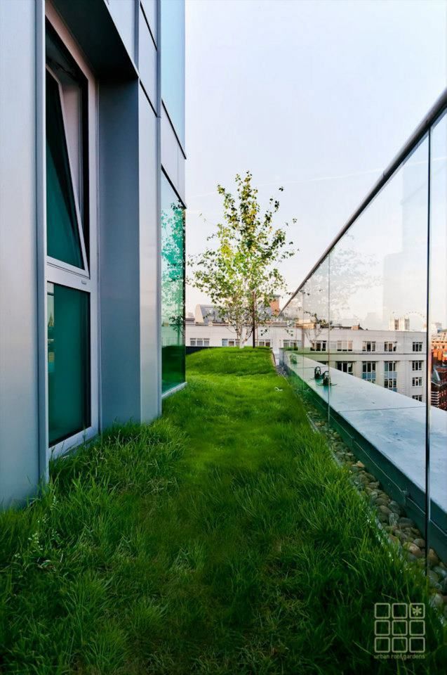 Victoria 1, London, Urban Roof Gardens Urban Roof Gardens Balkon, Beranda & Teras Modern