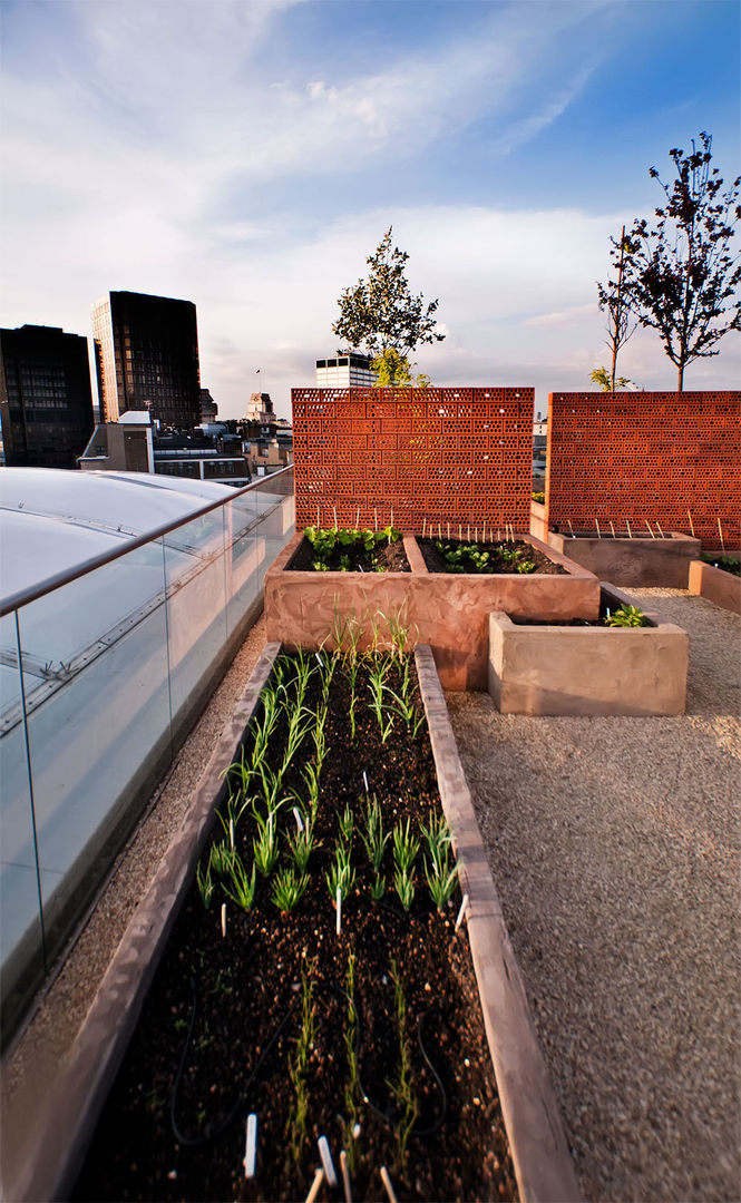 A Stunning Penthouse Terrace Project in London, Urban Roof Gardens Urban Roof Gardens Modern Balkon, Veranda & Teras