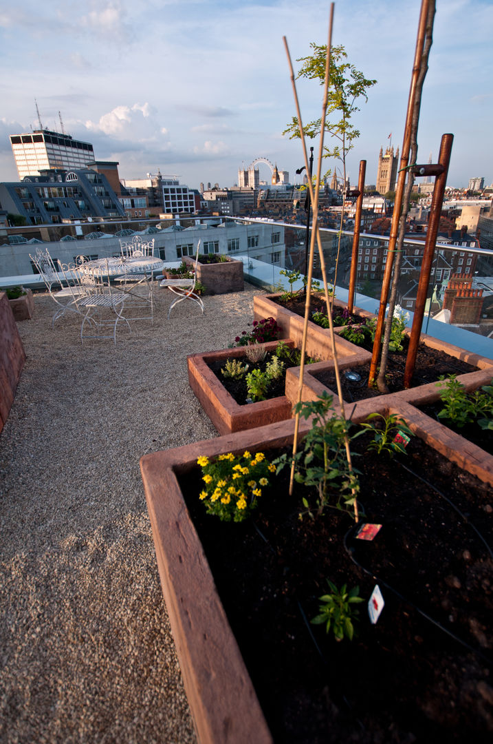 Victoria 2, London Urban Roof Gardens Modern Balkon, Veranda & Teras