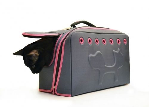 Carry me, ildoppiosegno ildoppiosegno Otros espacios Accesorios para los animales