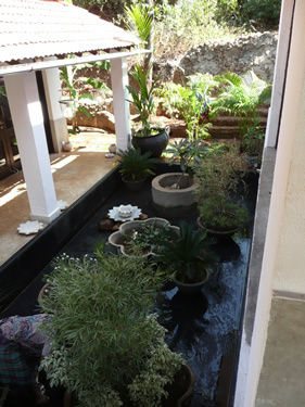 homify Jardines eclécticos