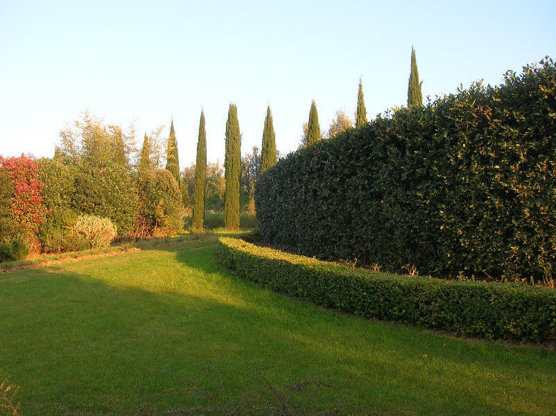 giardino, CHRISTIAN THEILL DESIGN CHRISTIAN THEILL DESIGN Giardino moderno