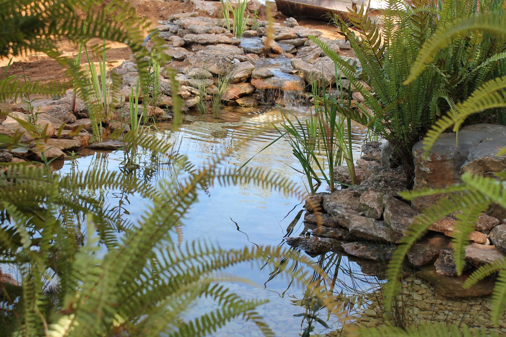 ESTANQUES BIOLÓGICOS- NATURALES, VIVSA. VIVIENDA SANA VIVSA. VIVIENDA SANA Kolam renang: Ide desain, inspirasi & gambar