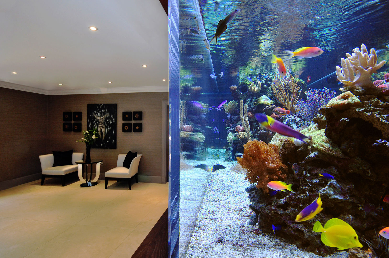 Footballer's Pad Aquarium, Aquarium Architecture Aquarium Architecture Ruang Keluarga Modern