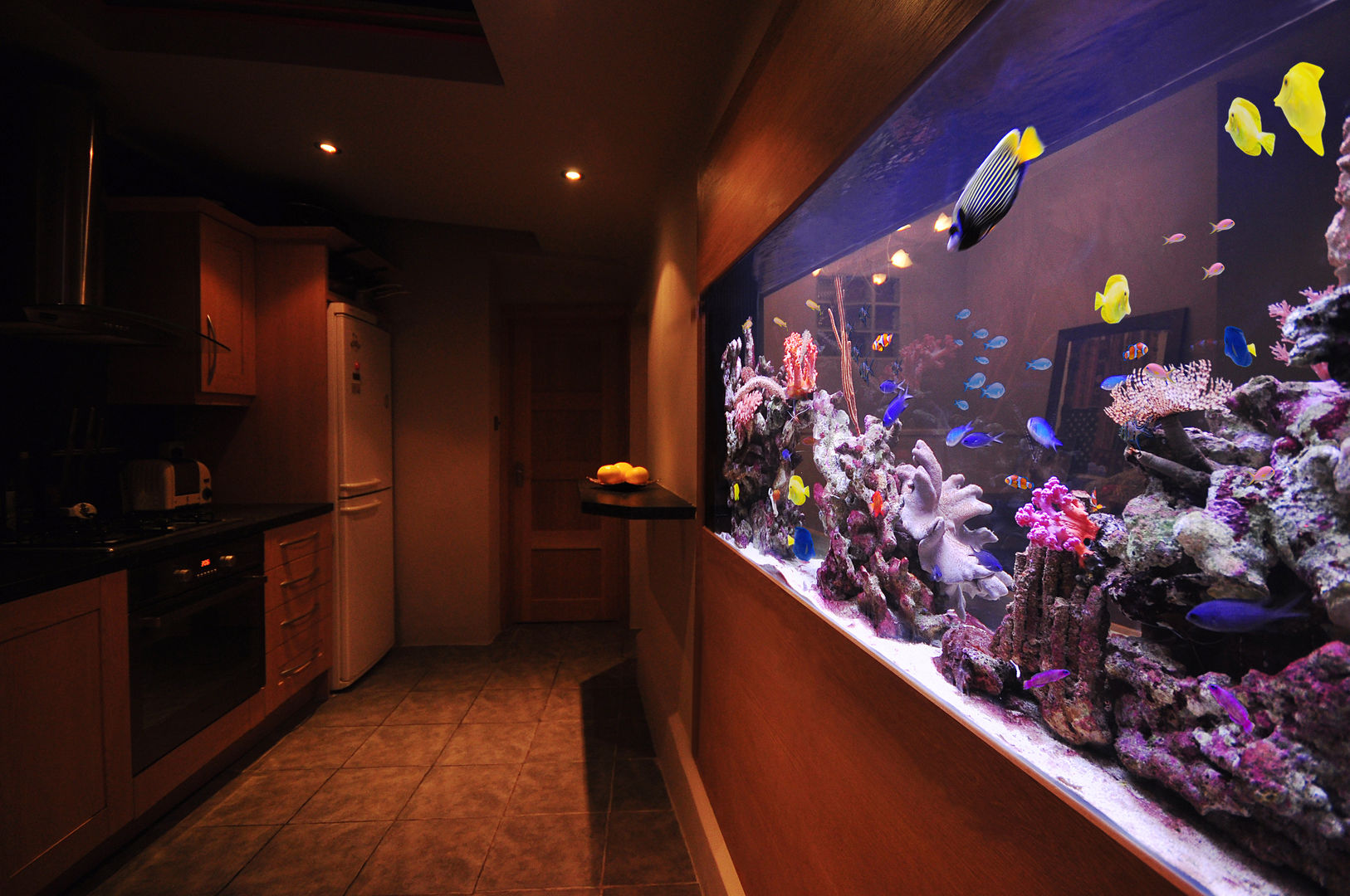 Aquarium in the city, Aquarium Architecture Aquarium Architecture Living room