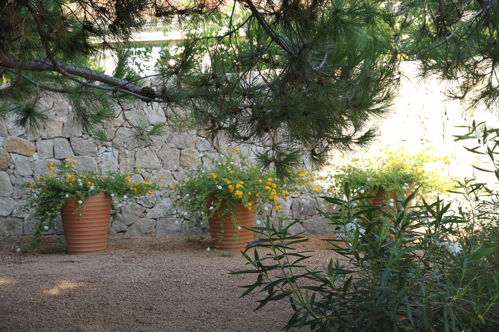 Villa pied dans l'eau, Véronique Desmit Véronique Desmit Mediterranean style garden