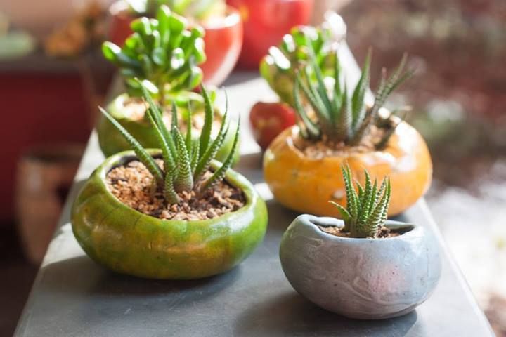Mini-Jardins , Luiza Soares - Paisagismo Luiza Soares - Paisagismo Minimalist style garden Plant pots & vases