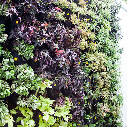 Green walls CONILLAS - exteriors Mediterranean style garden Accessories & decoration