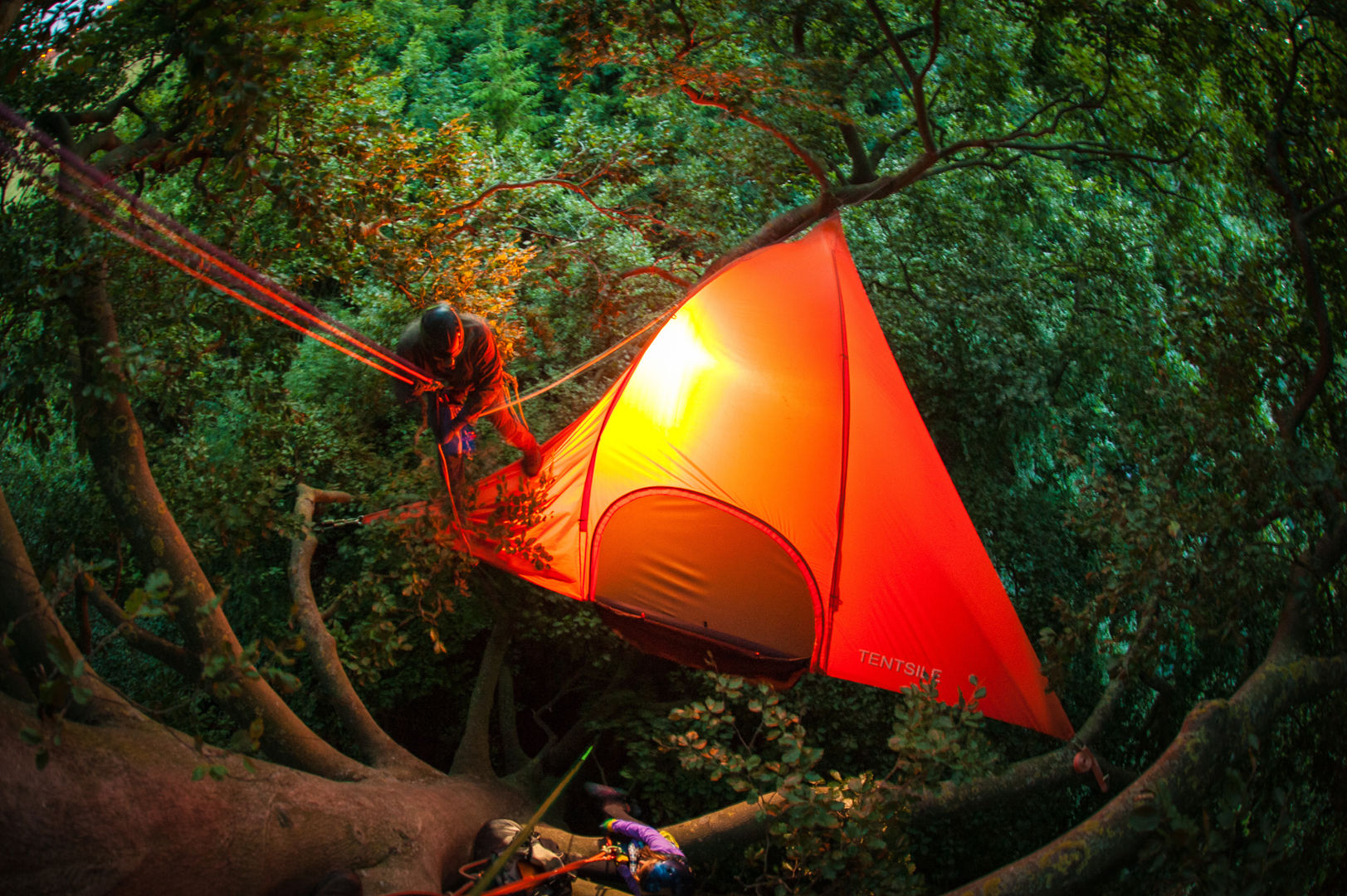 Add a New Touch to Your Camping Adventure with the Tentsile Stingray, Tentsile Tentsile Modern style gardens Swings & play sets