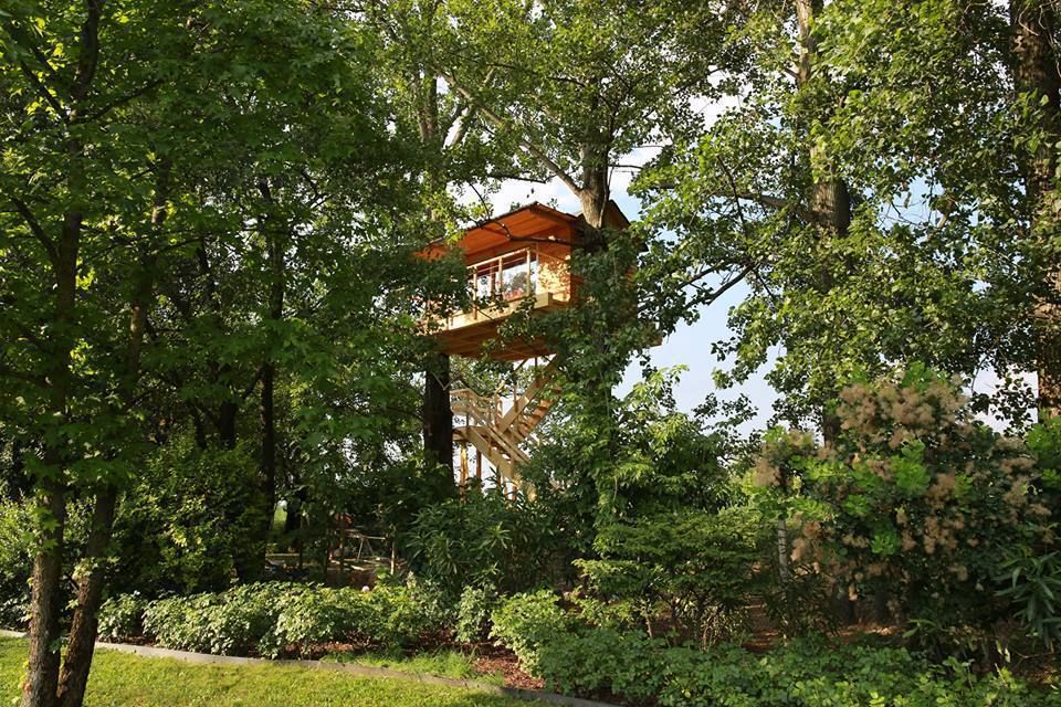 Treehouse, Nicola Preti - Architecture, Planning and Preservation- Nicola Preti - Architecture, Planning and Preservation- Country style balcony, veranda & terrace Plants & flowers