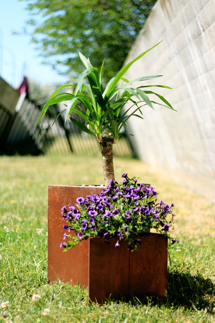 Design pots in Corten Steel, CLASS MANUFACTURING SA CLASS MANUFACTURING SA Сад Горшки и вазы