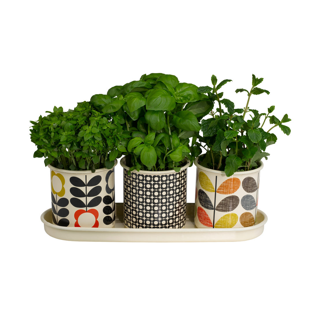 Tuinproducten, Wild & Wolf Wild & Wolf Classic style garden Plant pots & vases