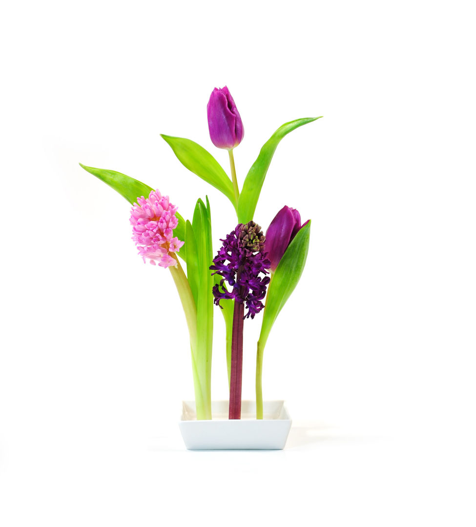 florida pin vase XXD GmbH غرفة السفرة ديكورات واكسسوارات