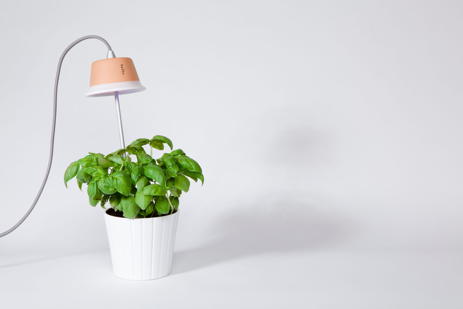 Cynara, Bulbo® Bulbo® Cocinas Iluminación