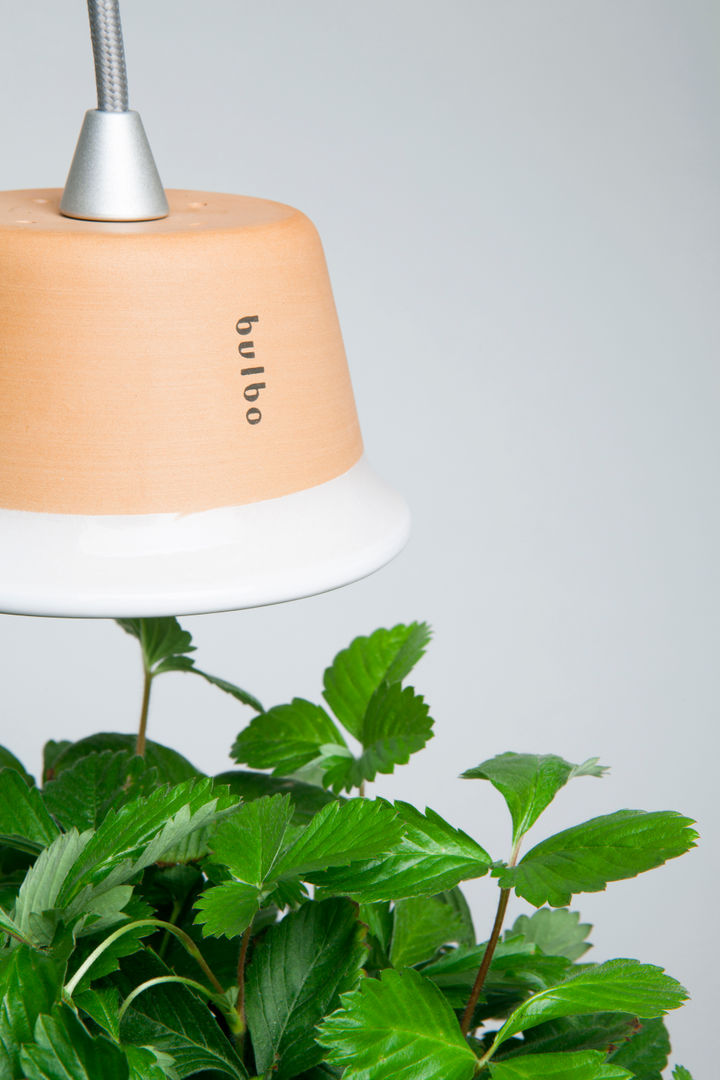 Cynara, Bulbo® Bulbo® Cocinas Iluminación