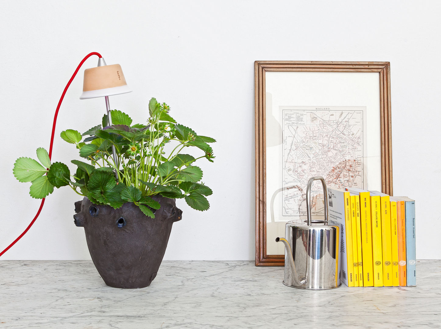 Cynara Bulbo® Soggiorno eclettico Pianta,Pianta della casa,Vaso di fiori,Di legno,parete,Pianta terrestre,Rettangolo,Cornice,Colore,Arte