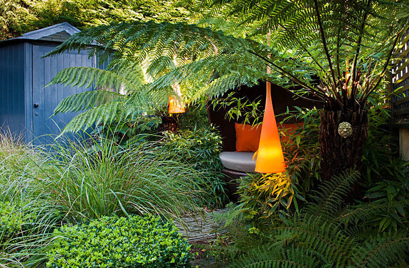 Maltese Road - Copyright John Glover Aralia Modern style gardens Bamboo Green contemporary garden design,garden design,contemporary garden,roof terrace,contemporary roof terrace,lighting,garden lighting,art,garden art,outdoor art,outdoor seating,love nest,outdoor sofa,outdoor bed,garden seating