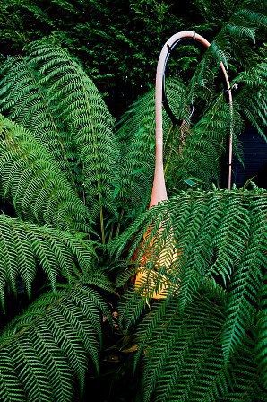 Maltese Road - Copyright John Glover Aralia Modern Bahçe Bambu Yeşil contemporary garden design,garden design,contemporary garden,roof terrace,contemporary roof terrace,lighting,garden lighting,art,garden art,outdoor art,outdoor seating,love nest,outdoor sofa,outdoor bed,garden seating