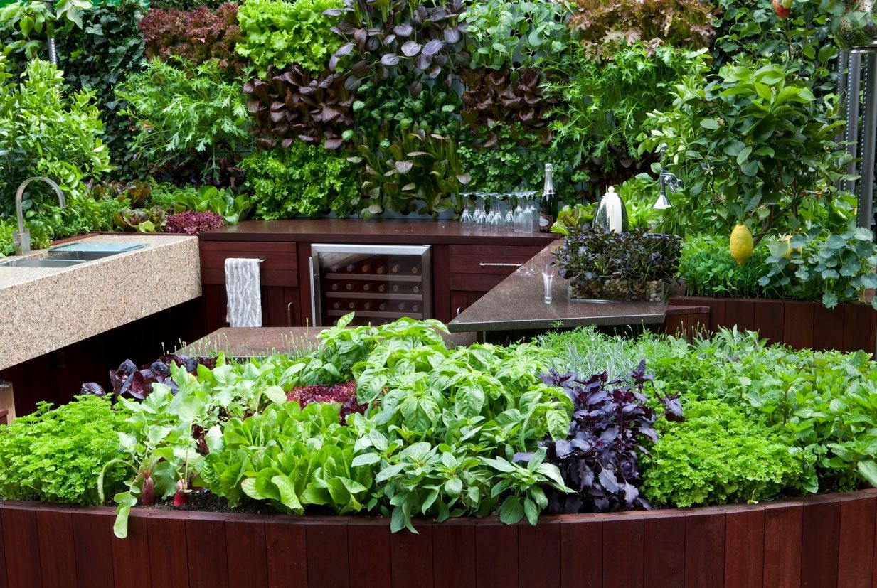 Freshly Prepped: Chelsea Flower Show 2009 Aralia Commercial spaces Wood Wood effect Commercial Spaces