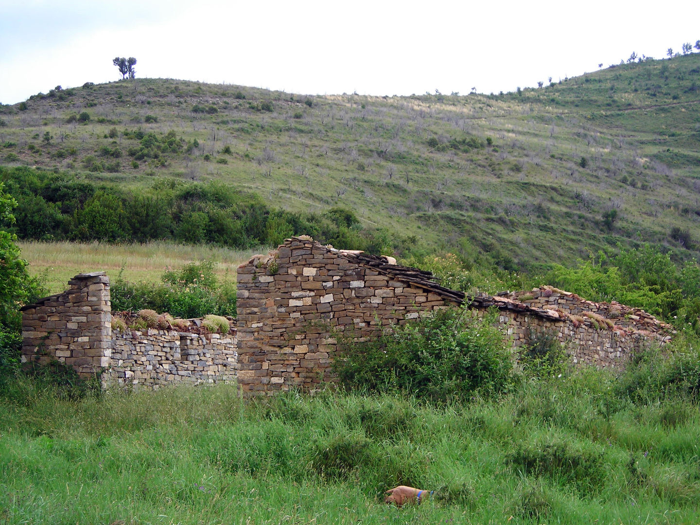 Casa JIR, Majones (Huesca), DMP arquitectura DMP arquitectura モダンな 家