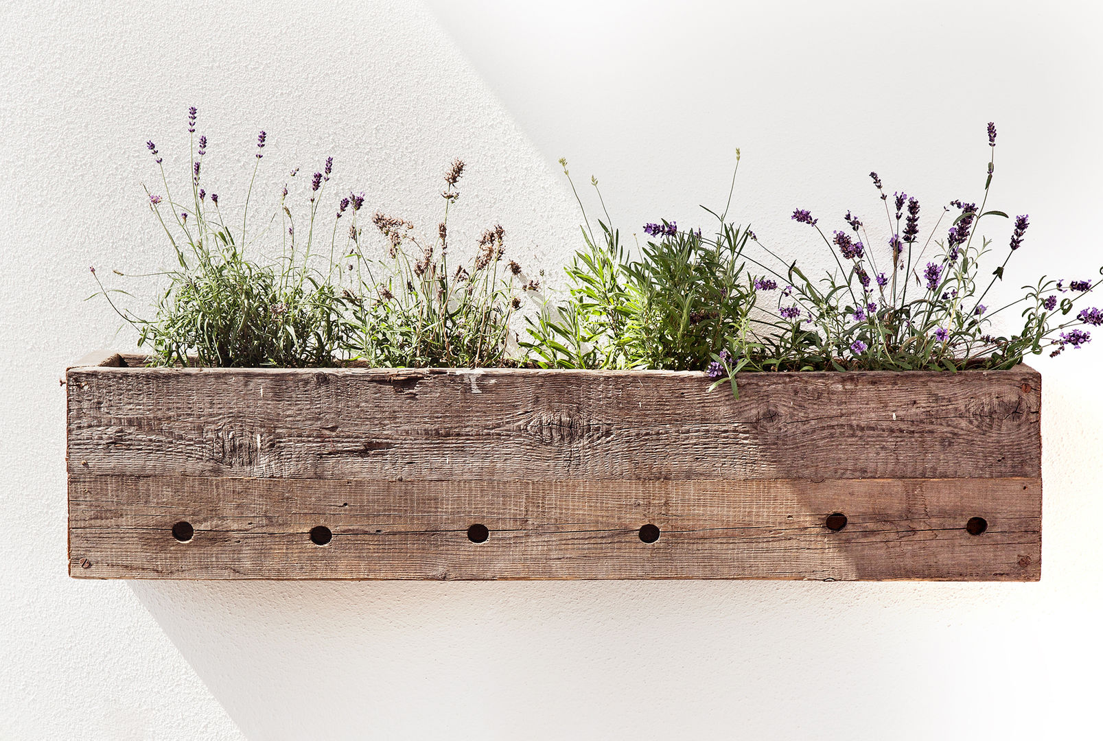 planter, edictum - UNIKAT MOBILIAR edictum - UNIKAT MOBILIAR Rustic style house Accessories & decoration