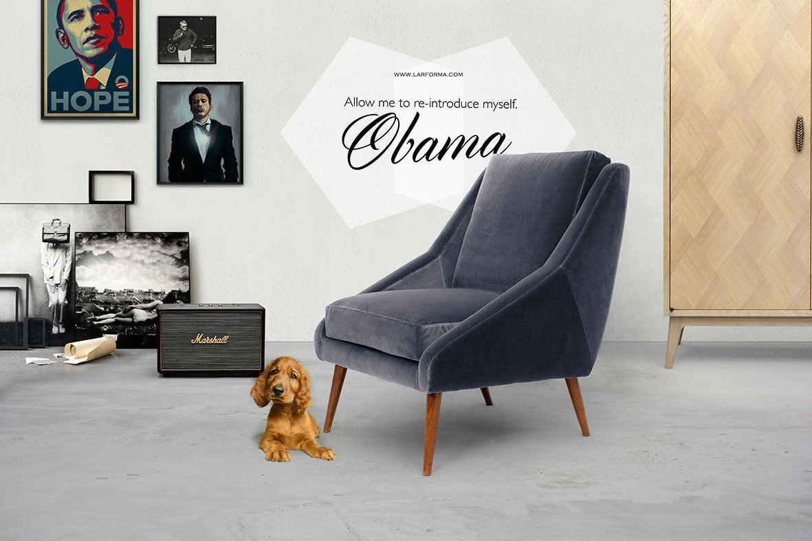 CHAIRS & ARMCHAIRS, Larforma Larforma Dining room Chairs & benches