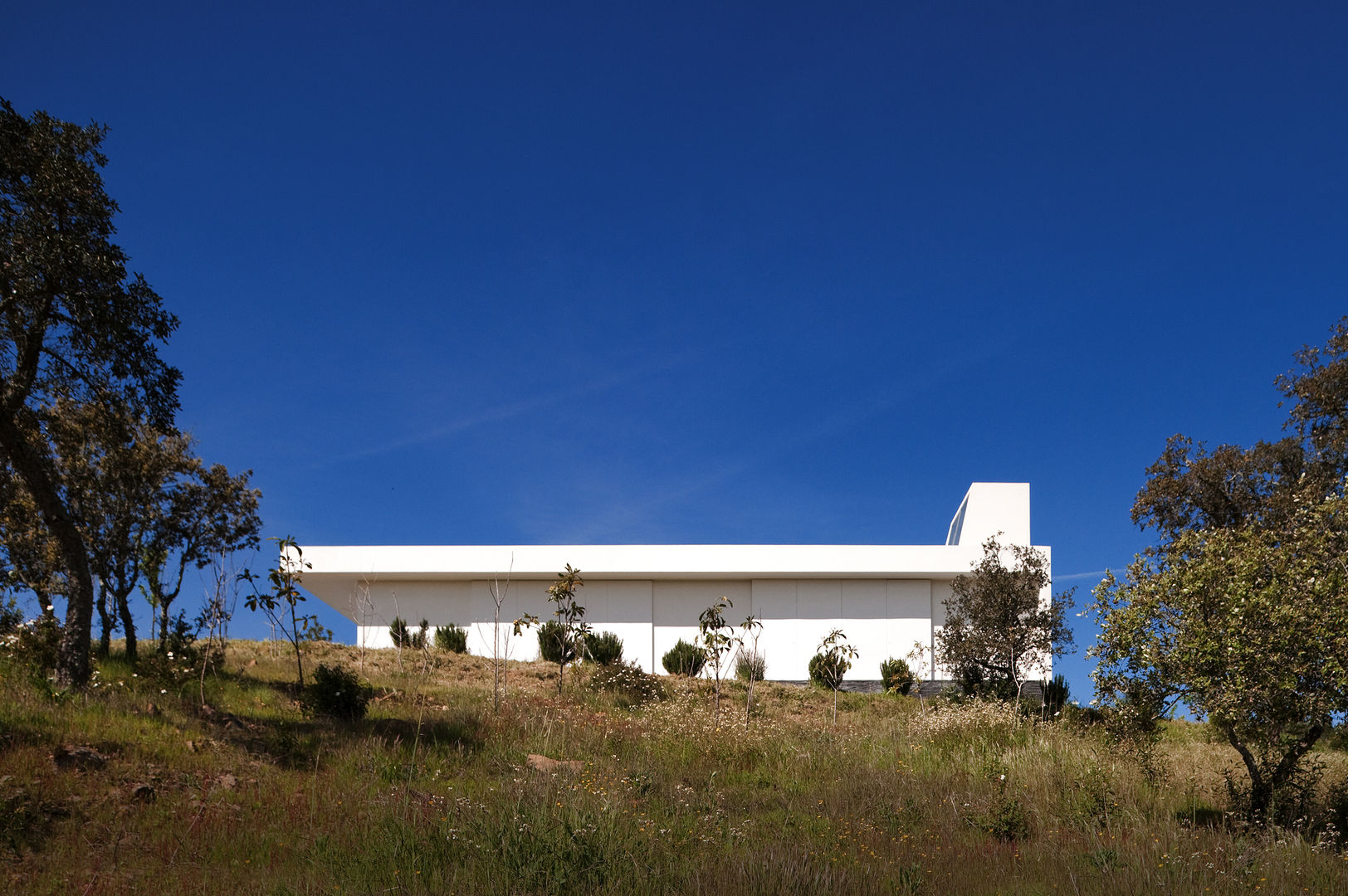 Monte Alentejano Housing, GRUPO QUADRANTE GRUPO QUADRANTE Minimalist Evler