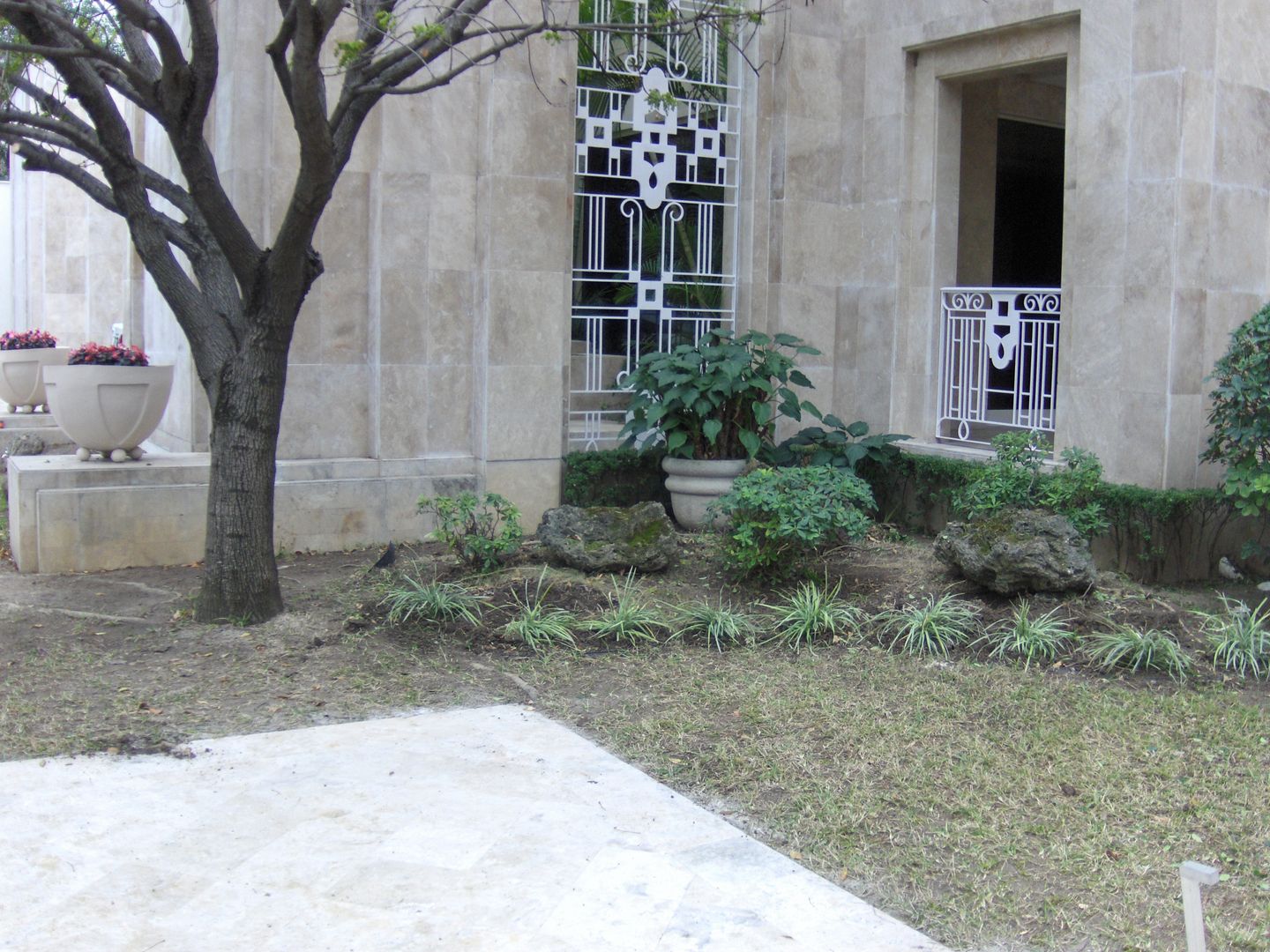 Jardin para entrada, NATURA NATURA Jardines de estilo moderno