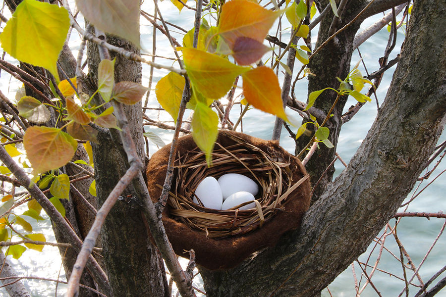 Nest for Easter eggs. Step by step, Judith Byberg Judith Byberg Rumah Gaya Rustic Accessories & decoration