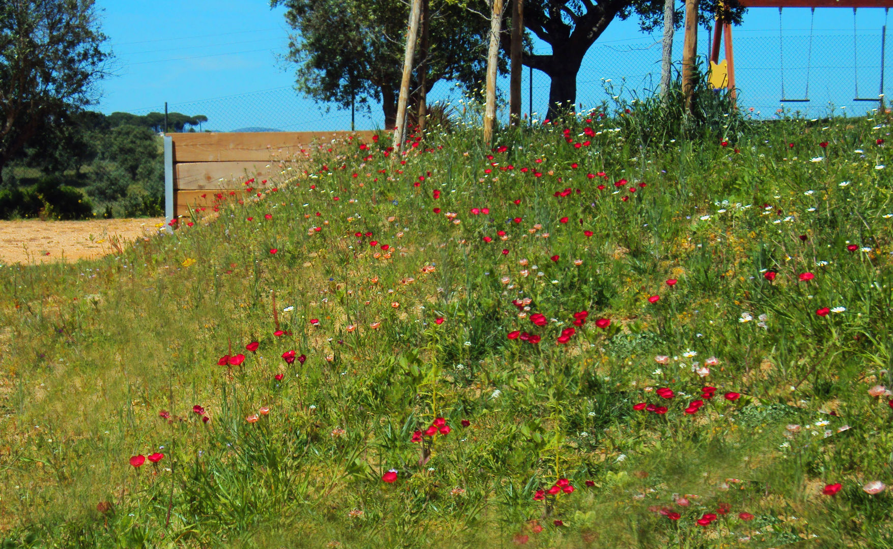 Moradia Privada, OpenGreen OpenGreen Rustic style garden