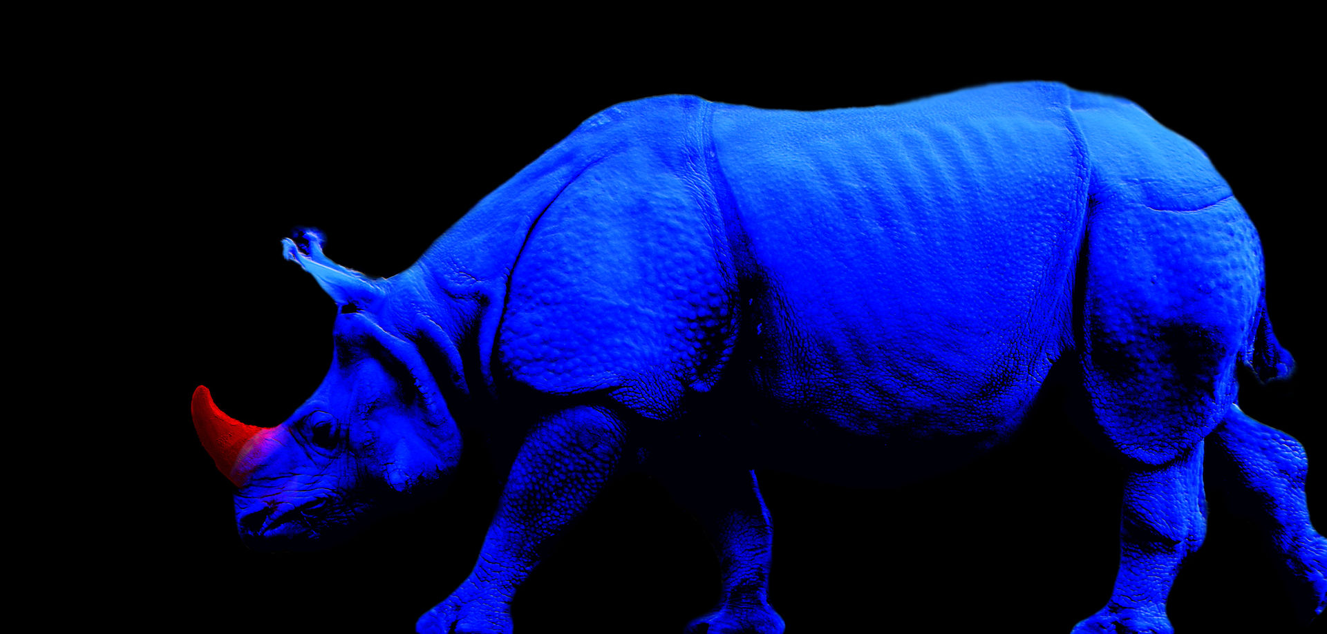 Ein Blaues Nashorn in einer Zweifarbigen Stadt., delitz delitz Mais espaços Imagens e pinturas