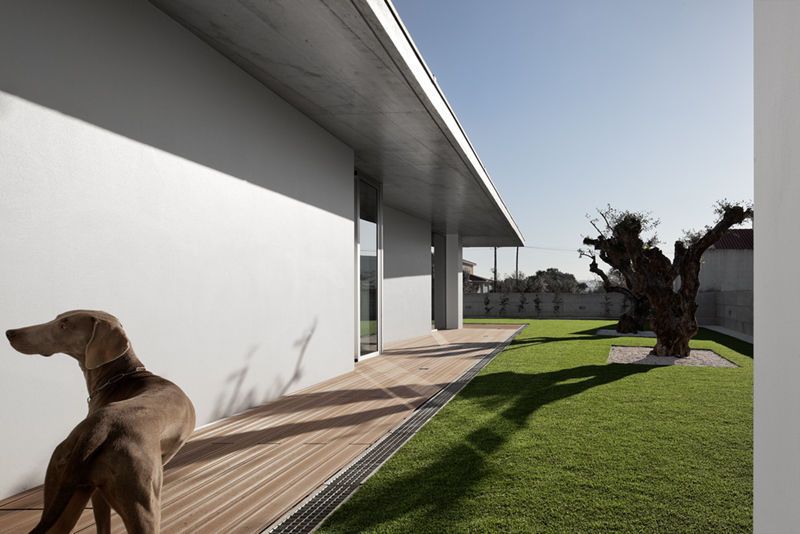 XIEIRA HOUSE II, A2+ ARQUITECTOS A2+ ARQUITECTOS Modern Garden