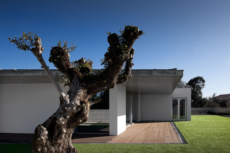 XIEIRA HOUSE II, A2+ ARQUITECTOS A2+ ARQUITECTOS Jardines de estilo moderno