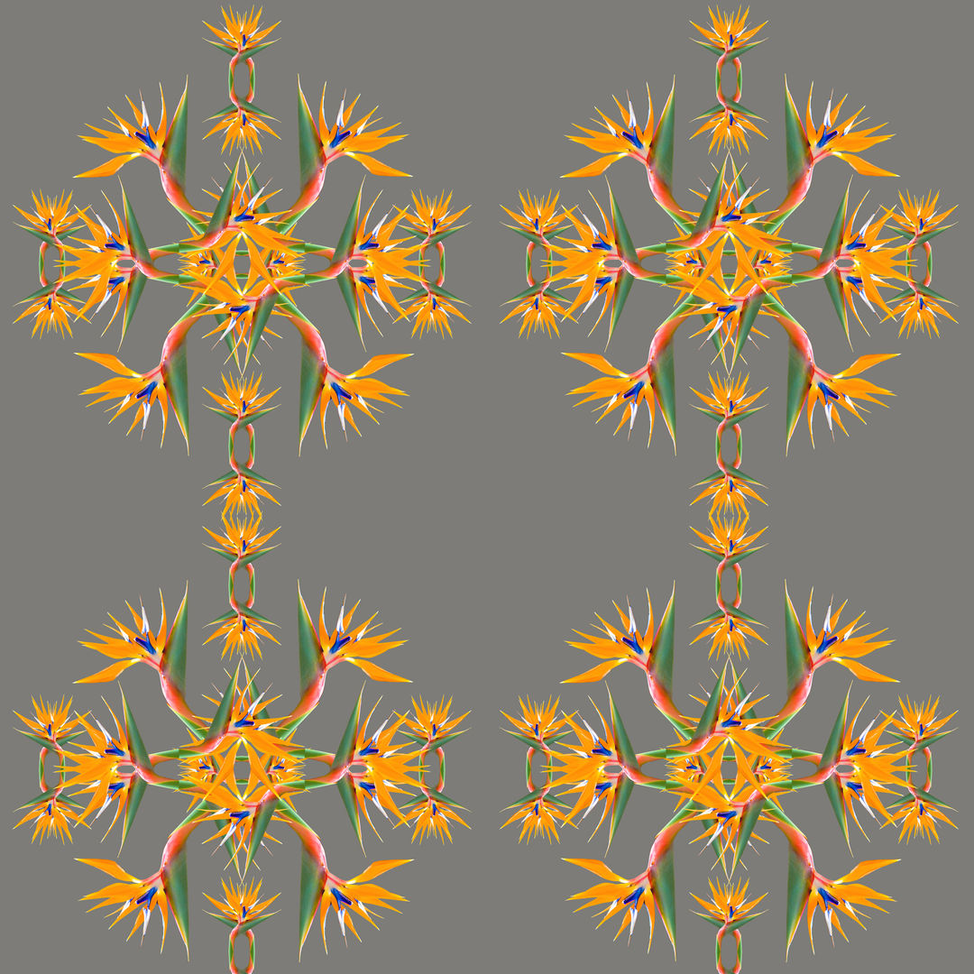 Bird of Paradise Wallpaper Lomas & Lomas 트로피컬 벽지 & 바닥 벽지