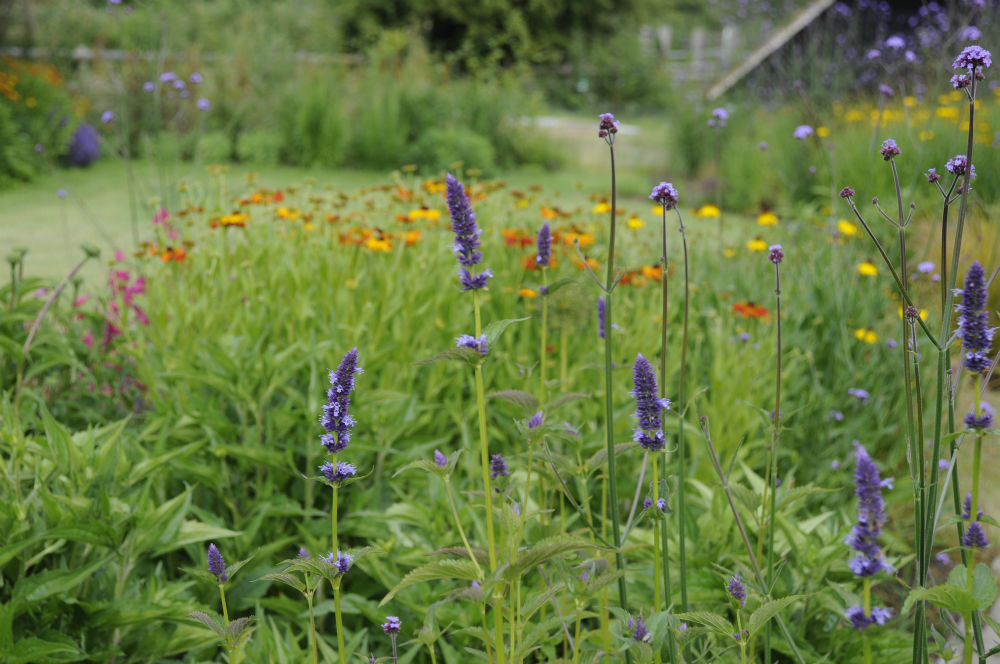 Surrey contemporary country garden, Arthur Road Landscapes Arthur Road Landscapes Modern garden