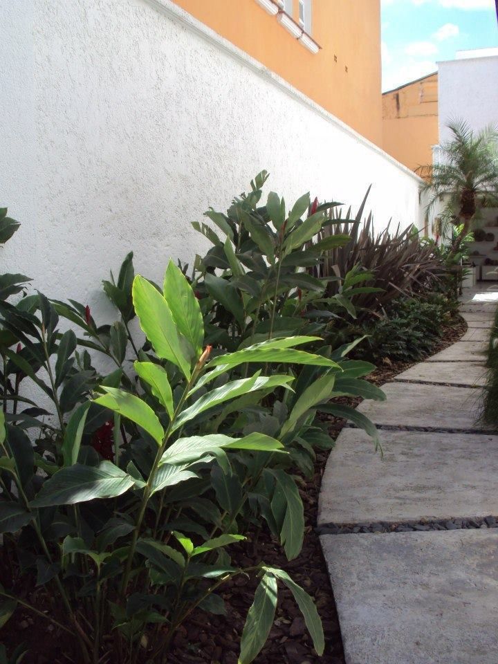 homify Jardines de estilo tropical