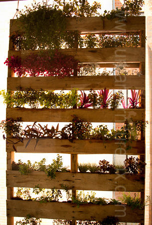 Muro Verde URBAN FURNITURE, URBAN FURNITURE URBAN FURNITURE 인더스트리얼 발코니, 베란다 & 테라스 식물 & 꽃