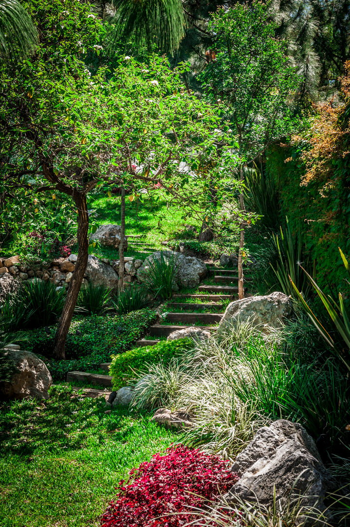 Casa Villarreal, Urban Landscape Urban Landscape Modern garden