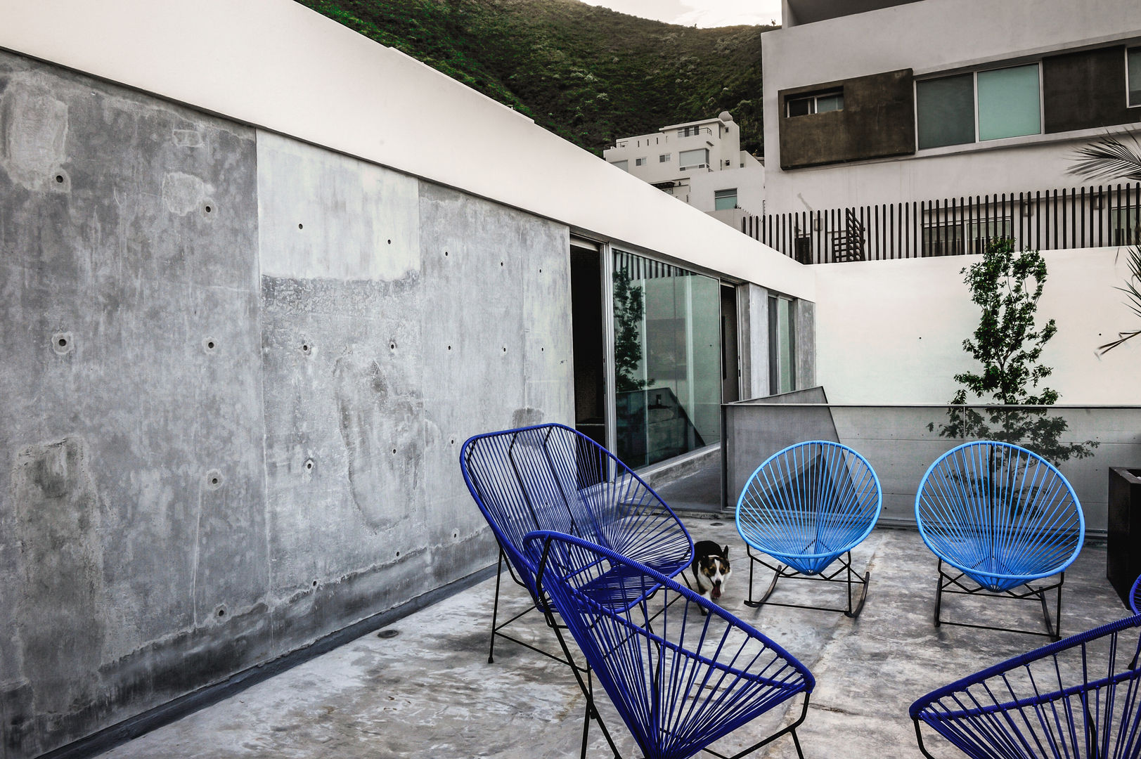 IPE HOUSE, P+0 Arquitectura P+0 Arquitectura Modern balcony, veranda & terrace
