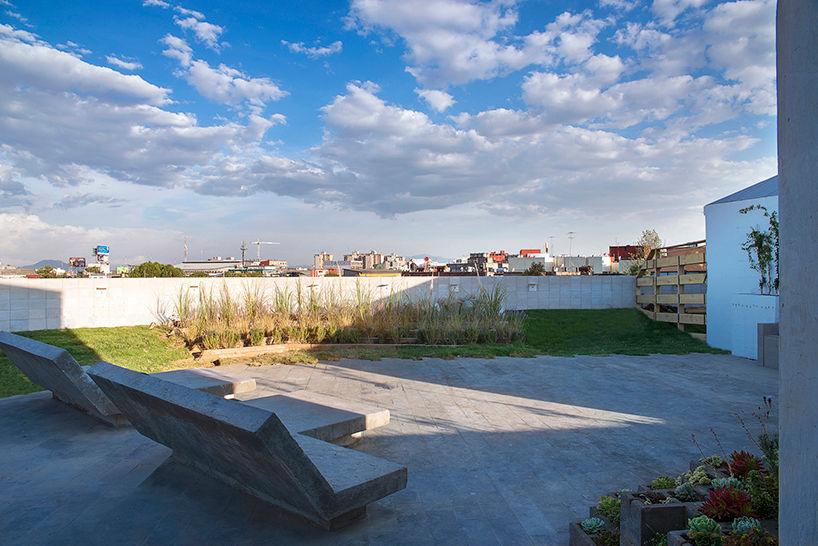 Roof Garden MOCAA Casas