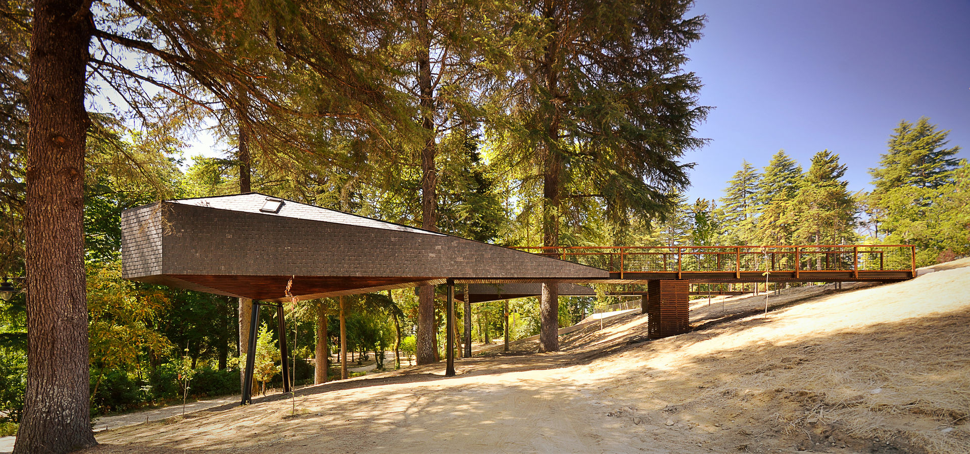 TREE SNAKE HOUSES, RA\\ Rebelo de Andrade RA\\ Rebelo de Andrade Espaces commerciaux Hôtels