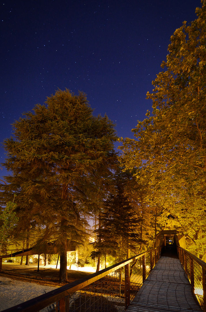 TREE SNAKE HOUSES, RA\\ Rebelo de Andrade RA\\ Rebelo de Andrade Ruang Komersial Hotels