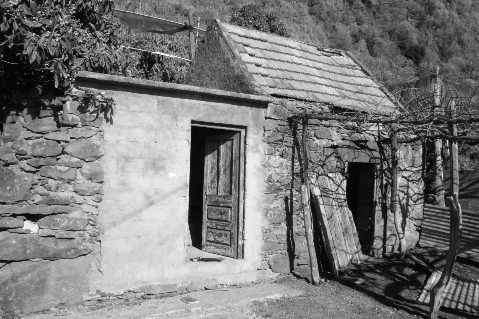 Stone Barn Conversion Jardim, Mayer & Selders Arquitectura Mayer & Selders Arquitectura พื้นที่เชิงพาณิชย์ โรงแรม