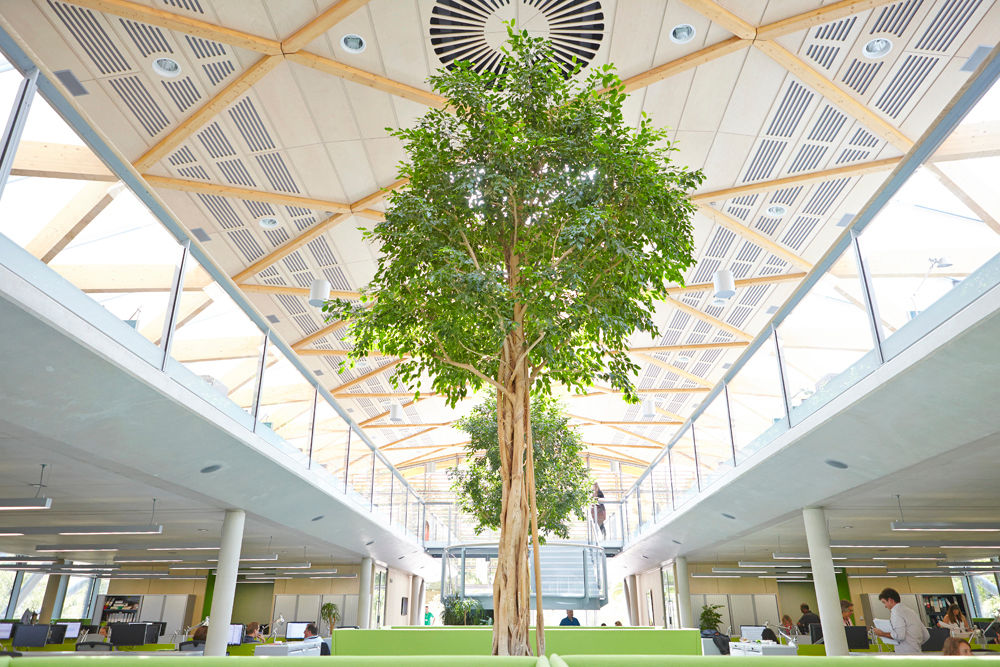 WWF building for Hopkins Architects, Janie Airey Photographer Janie Airey Photographer Commercial spaces Office buildings