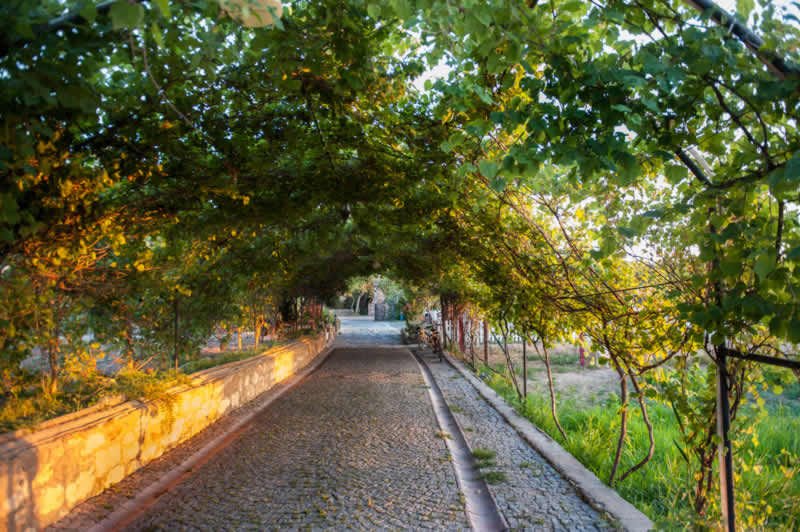 Genel Görünüm, ARAL TATİLÇİFTLİĞİ ARAL TATİLÇİFTLİĞİ Garten im Landhausstil