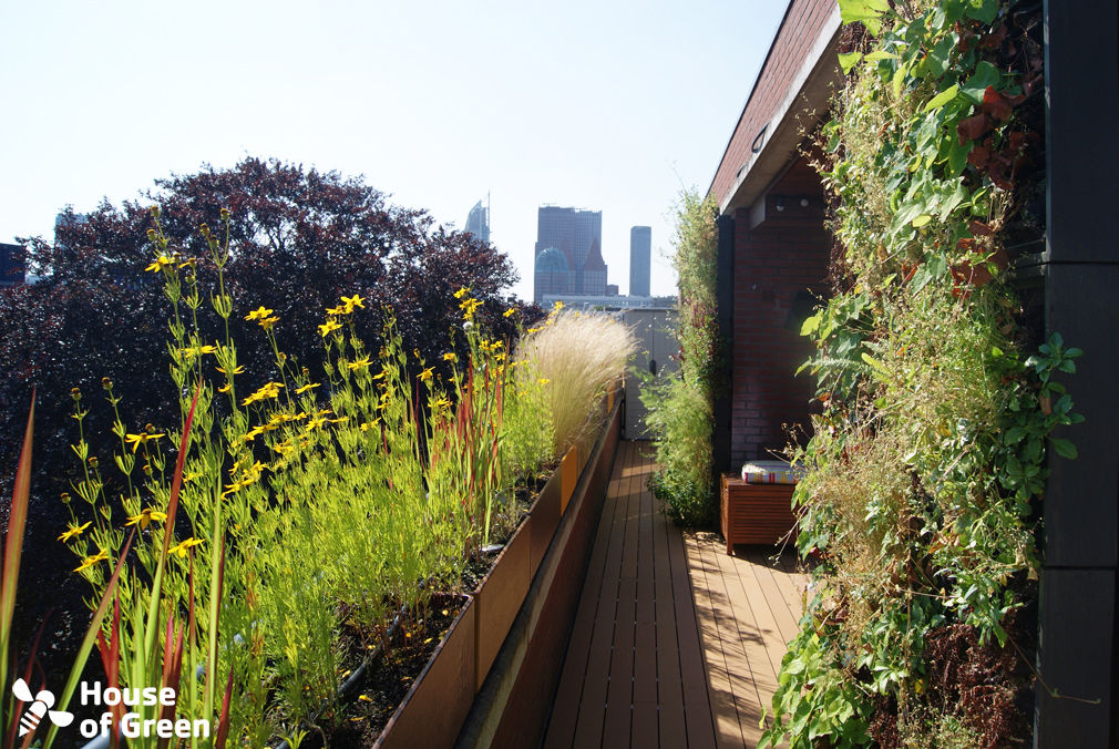 Complete terras make-over, House of Green House of Green Balcones y terrazas modernos