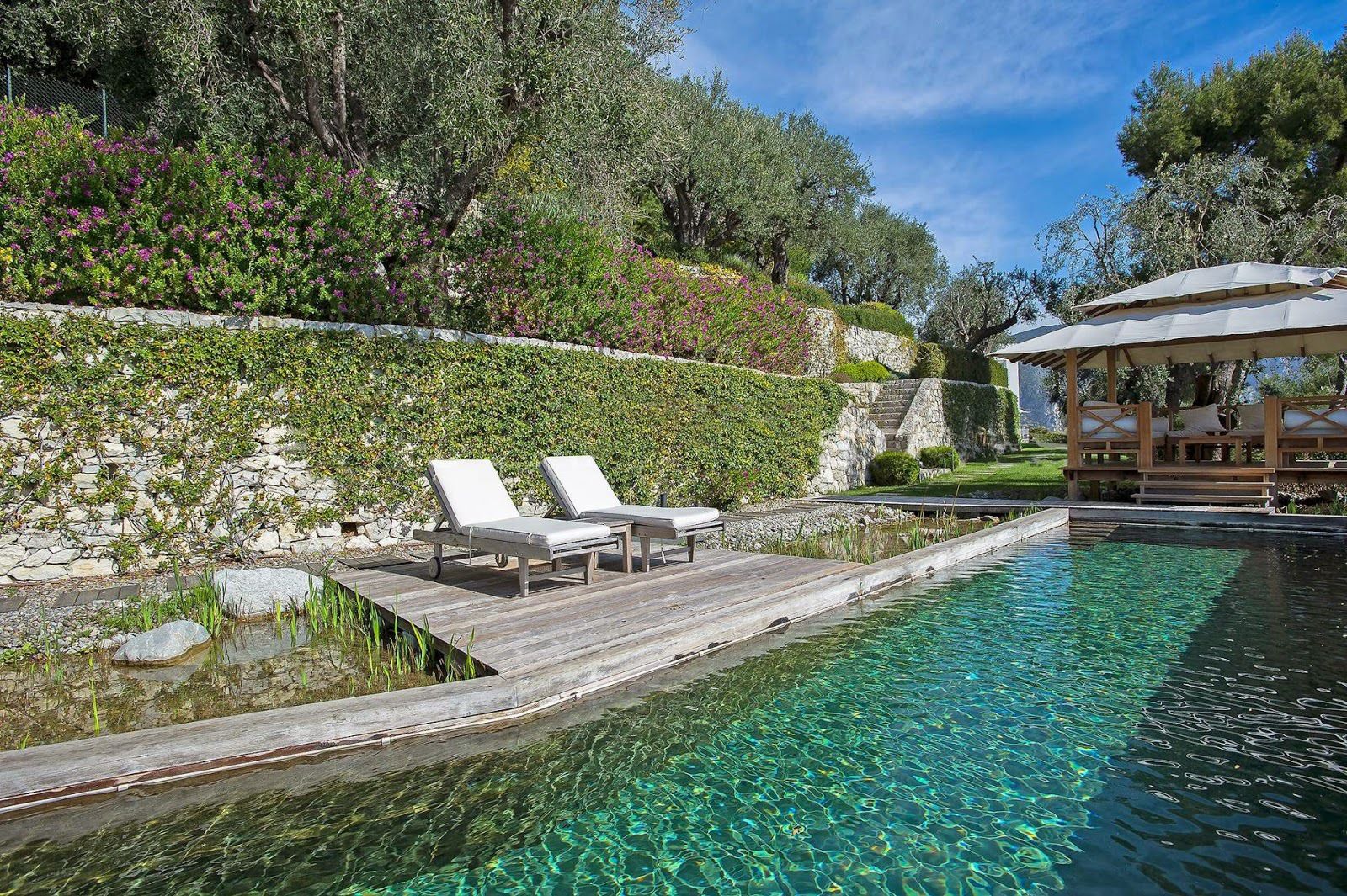 Antibes Architecte Paysgiste, Nelumbo Nelumbo Piscinas modernas