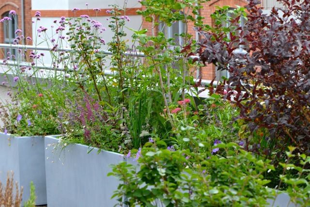 Dachterrasse und Dachgarten in Berlin, Nelka Nelka Balcones, porches y terrazas