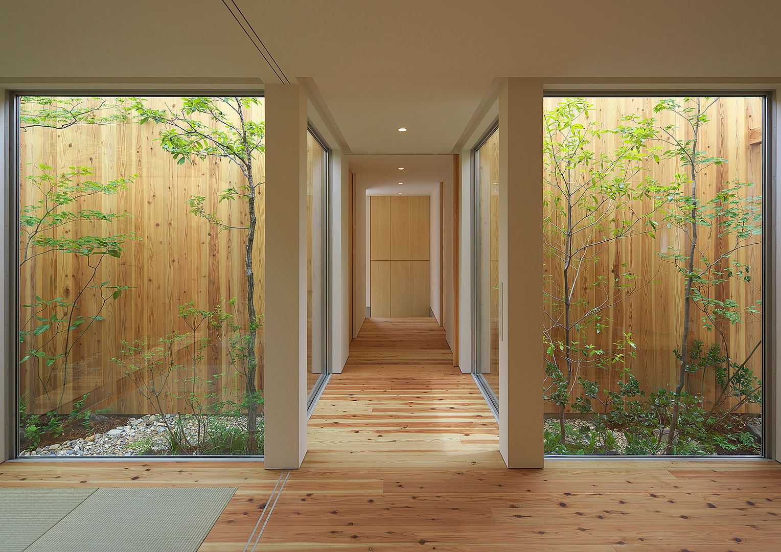 House of Nishimikuni, arbol arbol Modern Corridor, Hallway and Staircase