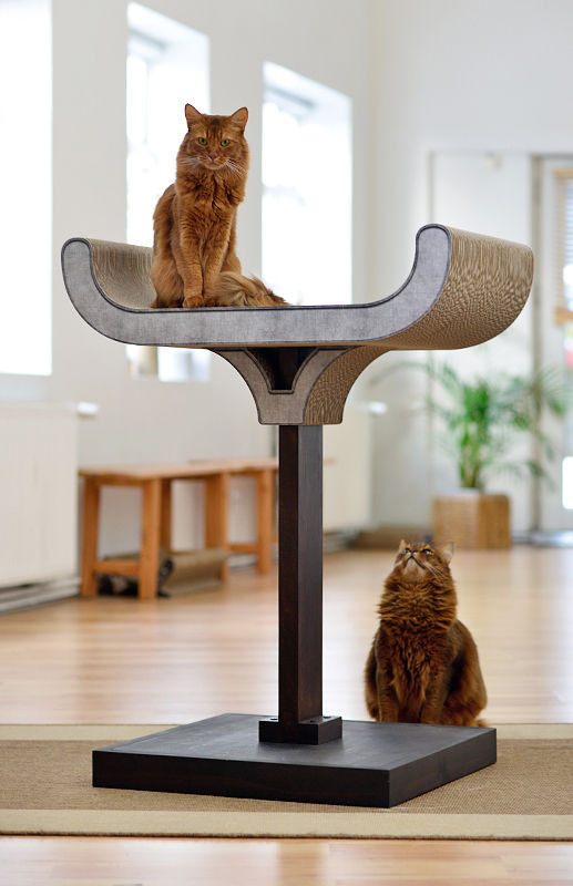 Design Kratzmöbel, cat-on cat-on Salones eclécticos Madera Acabado en madera Iluminación